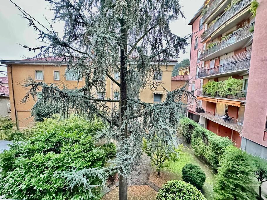 Luxury House Near The Funicular Apartamento Bérgamo Exterior foto